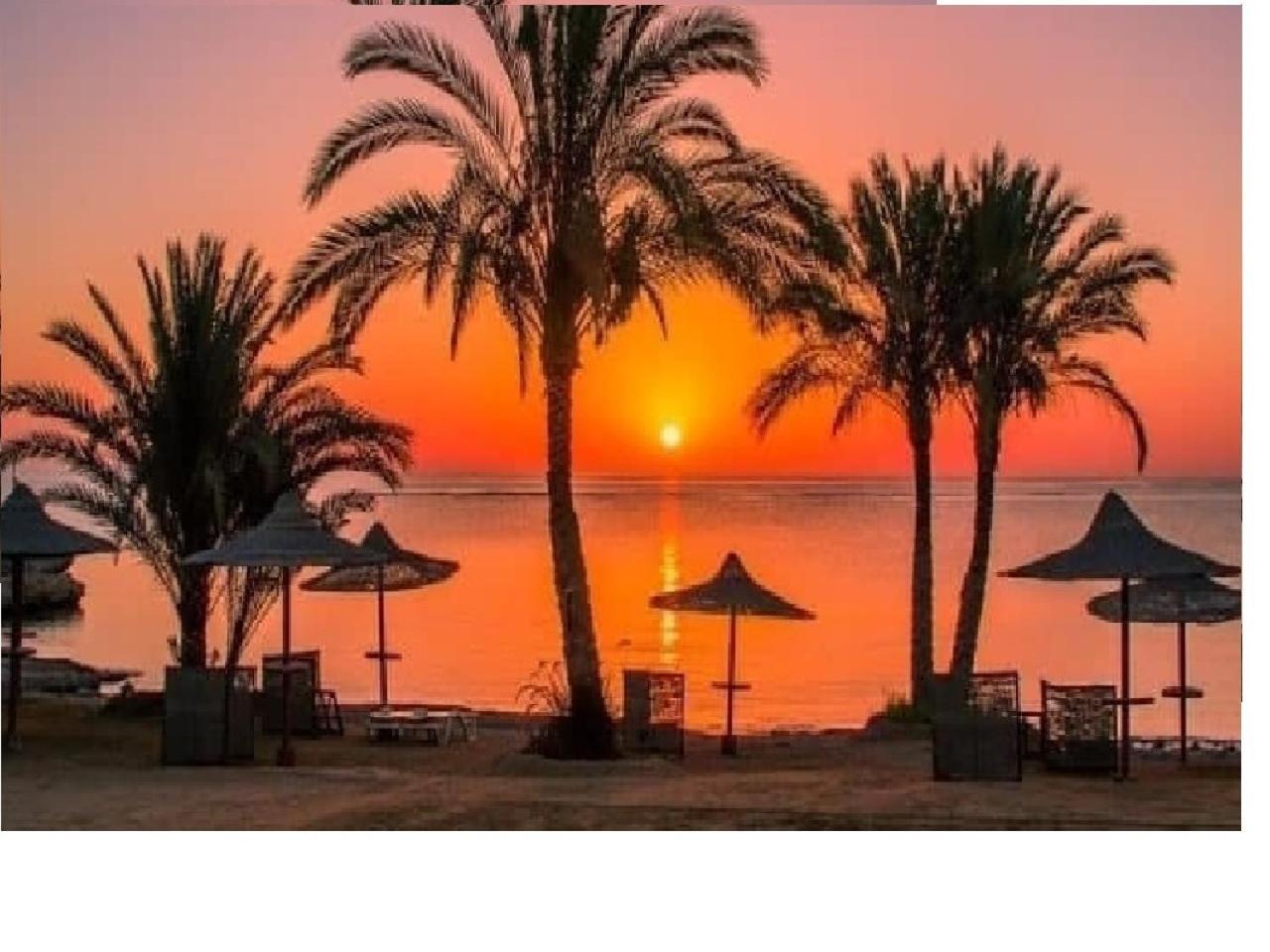 Domina Coral Bay Sea View Studio Sharm El Sheikh Exterior foto